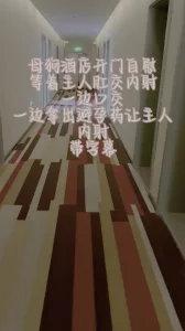 [原创] 带字幕酒店开门自慰，一边吃避孕药一边让主人内射 6 分 28 有认证