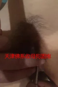 天津母狗开发尿道